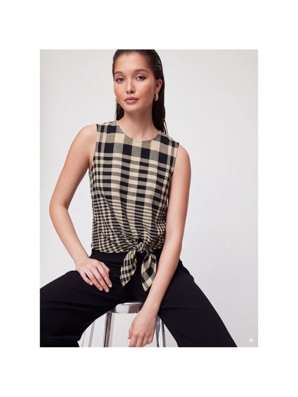 Babaton Hopkins Blouse Check Print Size Small Black Tan Aritzia